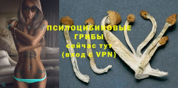 кокс Беломорск