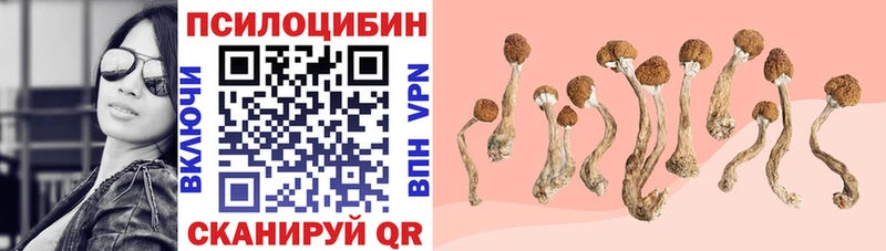 Псилоцибиновые грибы прущие грибы  Гулькевичи 